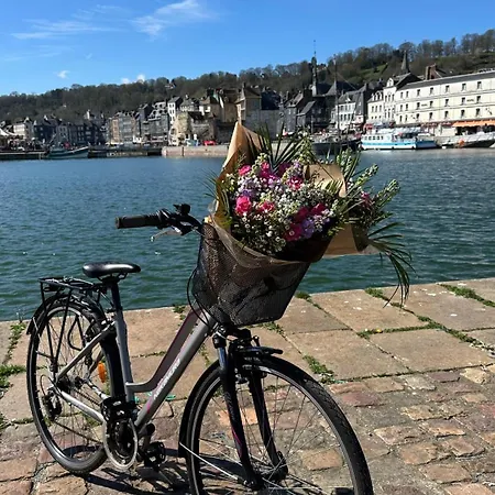 莱斯卡林斯德翁弗勒尔酒店 *