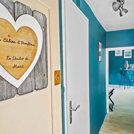 Appartement Les Calins D'honfleur Honfleur