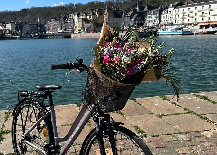 Les Calins D'honfleur *